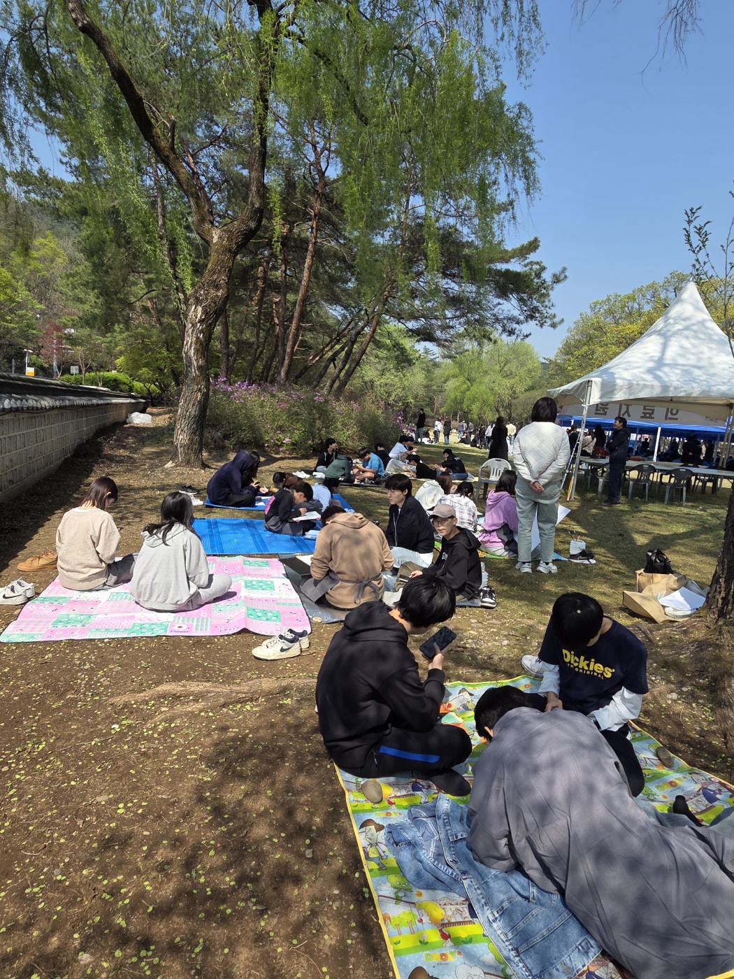 단종 문화제 사진